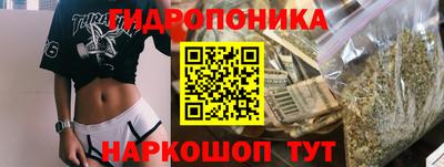 стаф Славгород