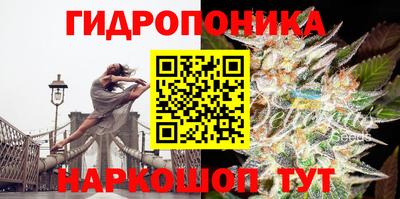 прущие грибы Славянск-на-Кубани