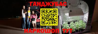 прущие грибы Славянск-на-Кубани