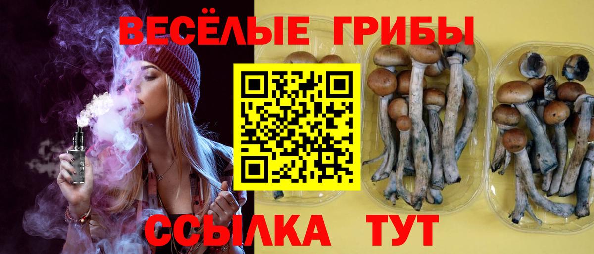 Новороссийск  Галлюциногенные грибы ЛСД  Галлюциногенные грибы ЛСД  Вход с VPN 