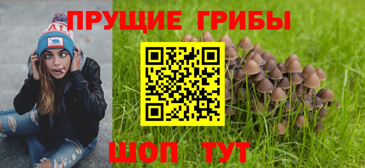 Галлюциногенные грибы ЛСД Новороссийск